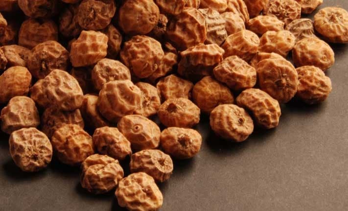 Tiger Nut